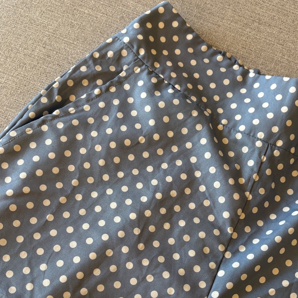 SHEIN Blue and White Polka Dot Pants - Picture 9 of 12